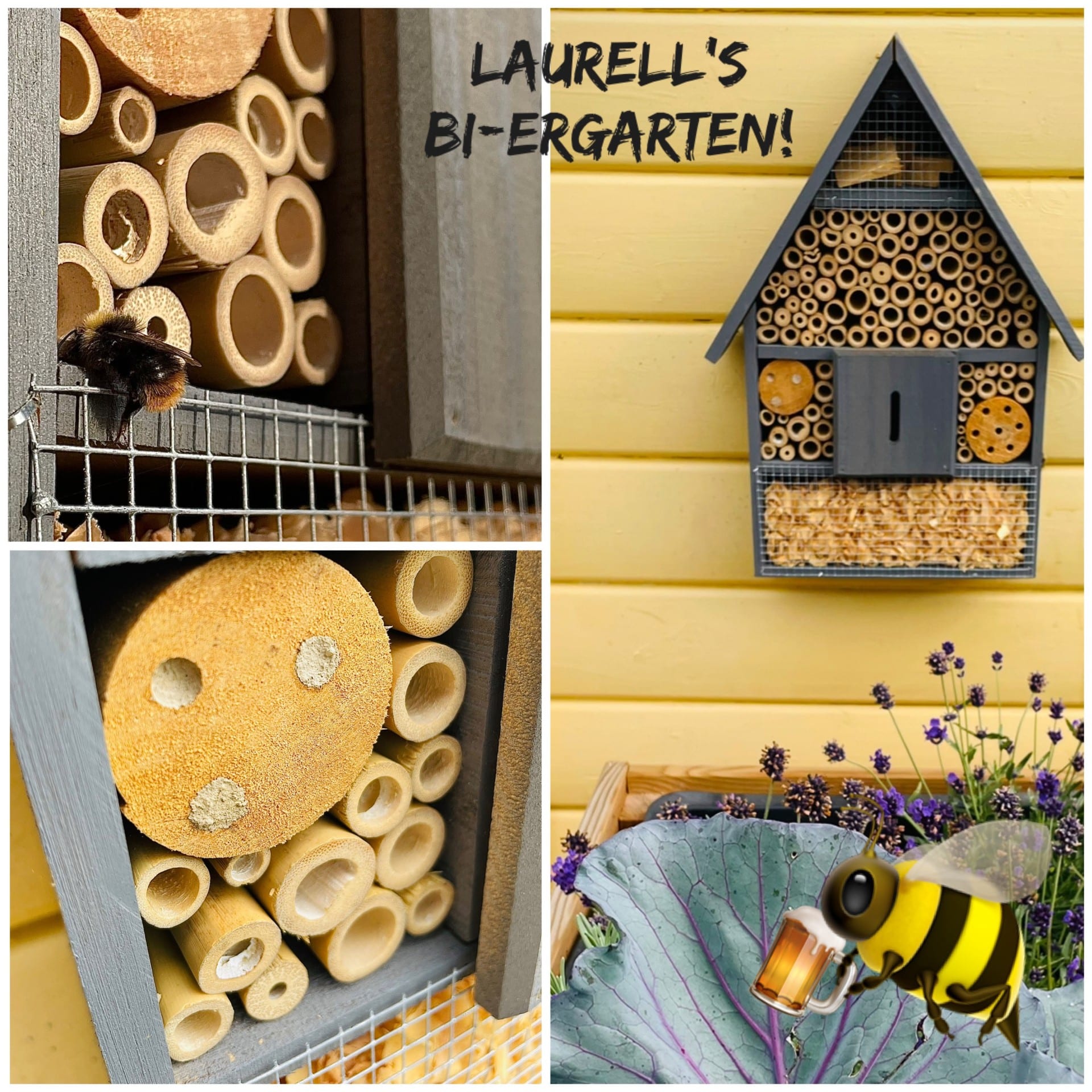 Preserving Bees